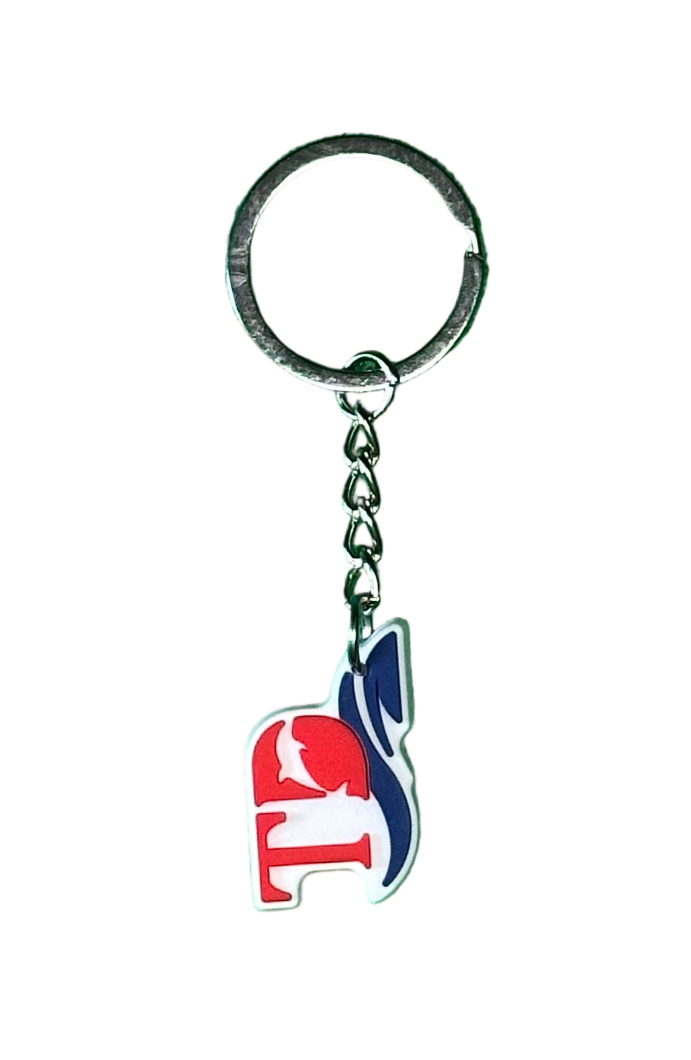 Torfaen Dolphins Swimming Club Keyring
