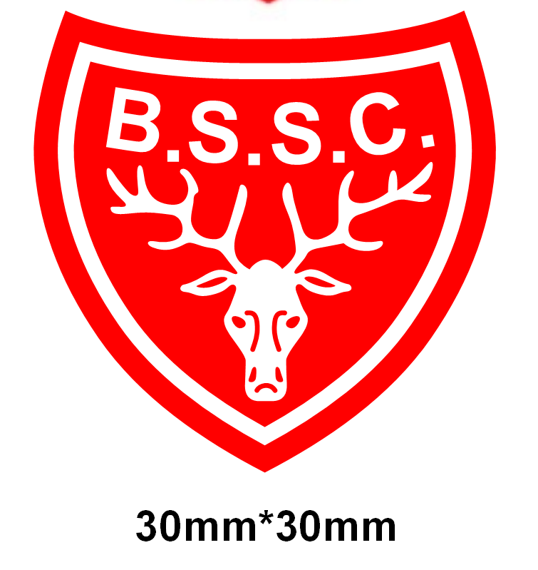 Bishops Stortford Swimming Club Shoe Charm