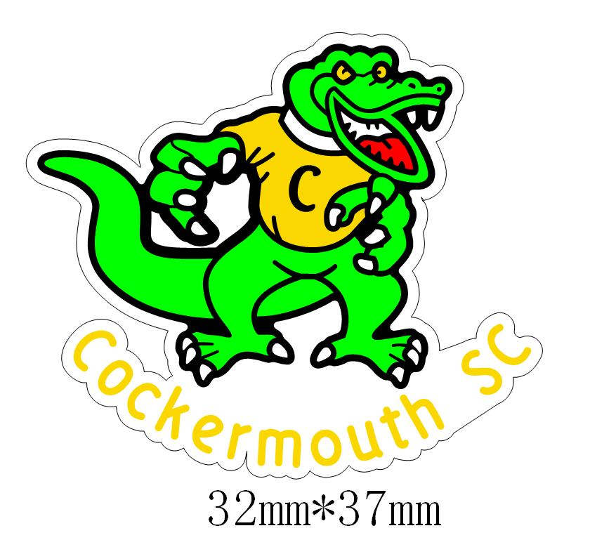Cockermouth Swimming Club Shoe Charm