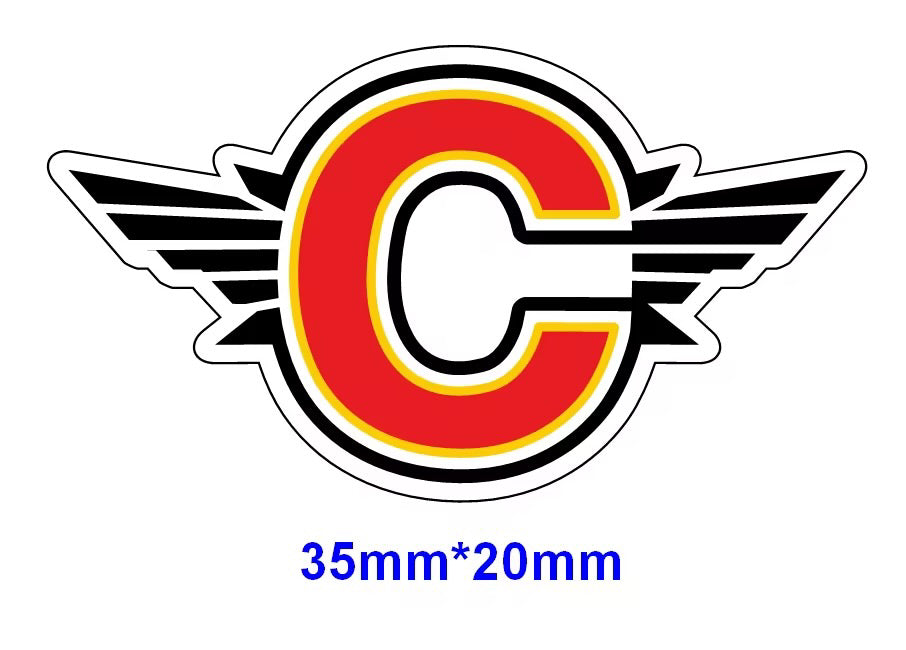 Colchester Swimming Shoe Charm