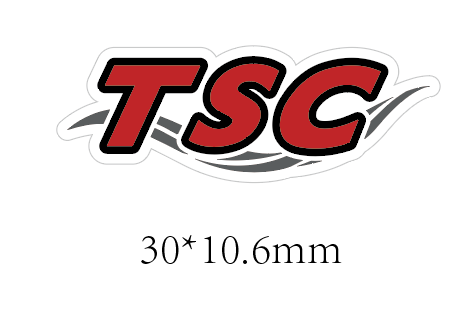 Teddington Swimming Club Shoe Charm