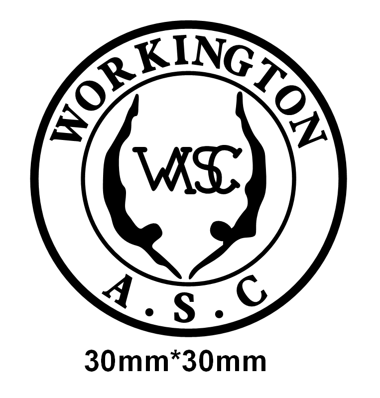Workington Swimming Club Keyring